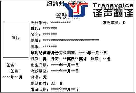 美国纽约州驾照翻译模板(图1)