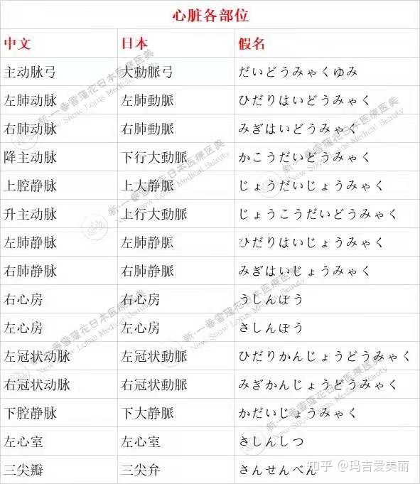 日语医疗翻译服务怎么收费?（日语的复合型人才医疗翻译）(图4)